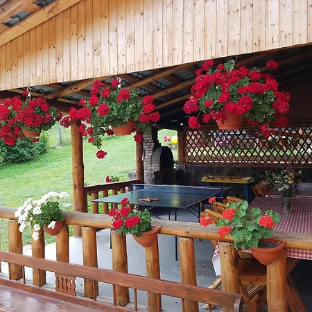Pensiunea Dorali 3*